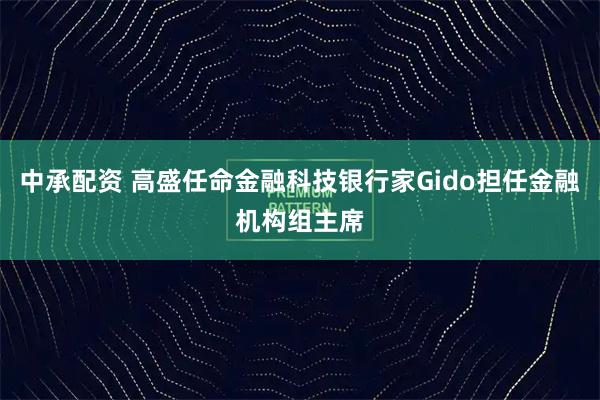 中承配资 高盛任命金融科技银行家Gido担任金融机构组主席