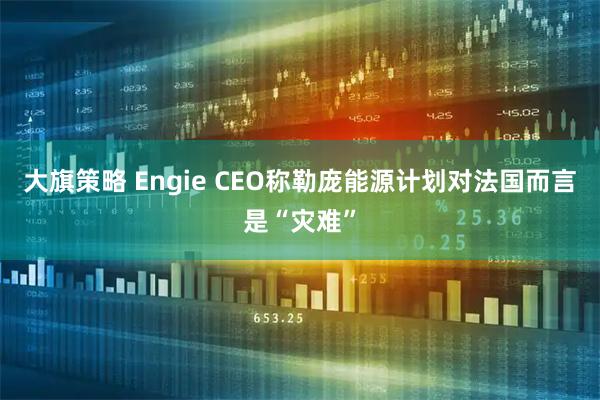 大旗策略 Engie CEO称勒庞能源计划对法国而言是“灾难”