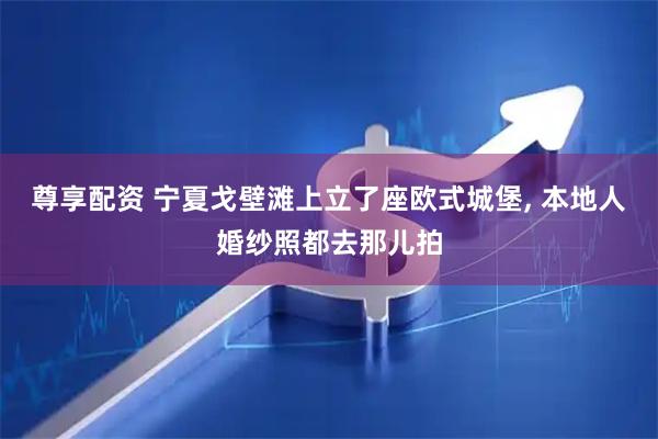 尊享配资 宁夏戈壁滩上立了座欧式城堡, 本地人婚纱照都去那儿拍