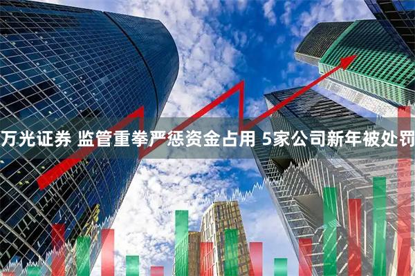 万光证券 监管重拳严惩资金占用 5家公司新年被处罚