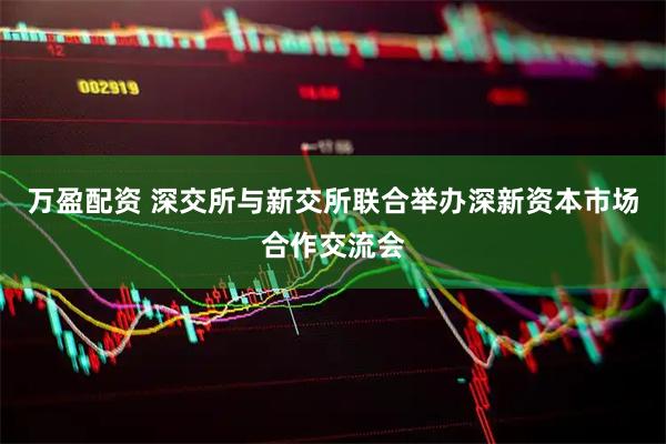 万盈配资 深交所与新交所联合举办深新资本市场合作交流会