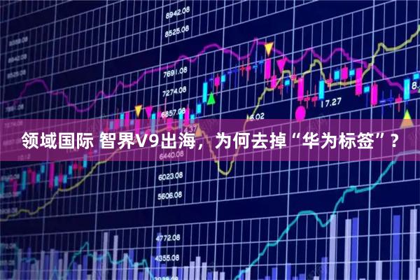 领域国际 智界V9出海，为何去掉“华为标签”？