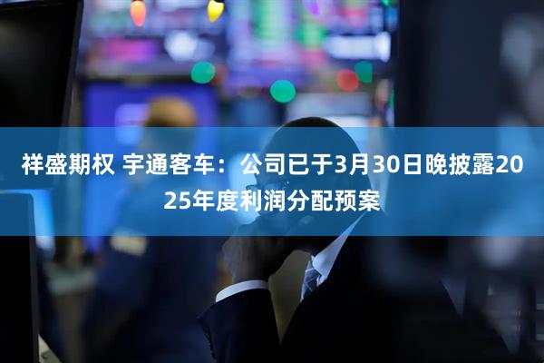 祥盛期权 宇通客车：公司已于3月30日晚披露2025年度利润分配预案