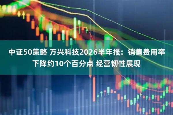 中证50策略 万兴科技2026半年报：销售费用率下降约10个百分点 经营韧性展现