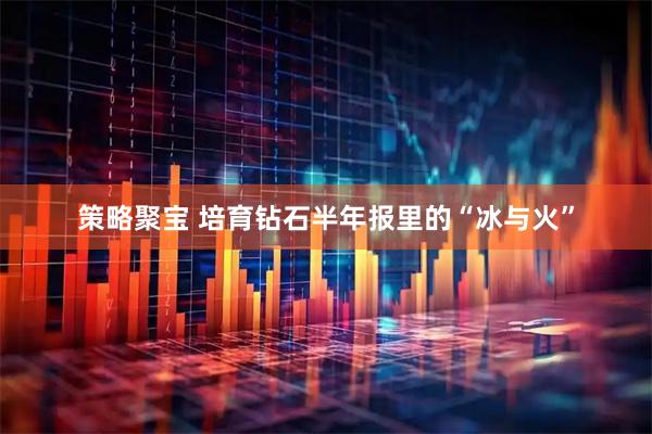 策略聚宝 培育钻石半年报里的“冰与火”